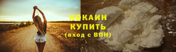 твердый Иннополис