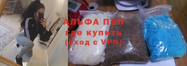 эйфоретик Инсар
