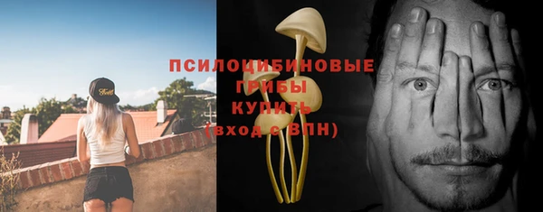 эйфоретик Инсар