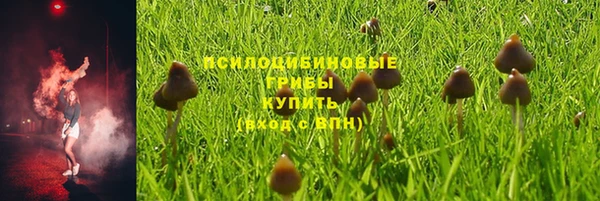эйфоретик Инсар