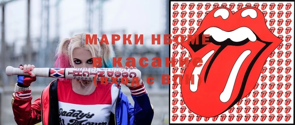 твердый Иннополис