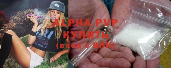 твердый Иннополис