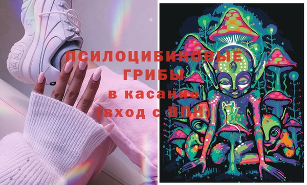 твердый Каменск-Шахтинский