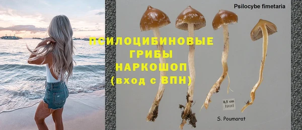 эйфоретик Инсар