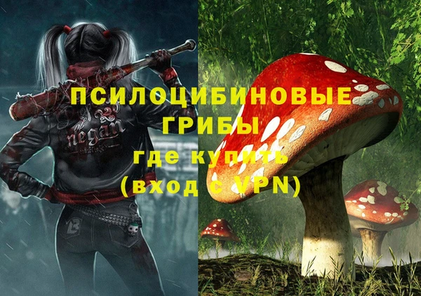 гашиш Инта