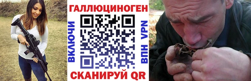 Купить где  Богородицк  Галлюциногенные грибы мицелий 